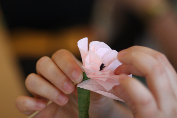 rosa anemone | we love handmade