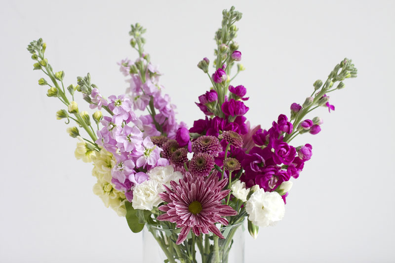 How To: Blumen arrangieren | we love handmade