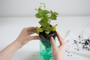 DIY: Kräuter einpflanzen | we love handmade