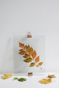 Glas-Bilderrahmen mit Herbstblättern | we love handmade