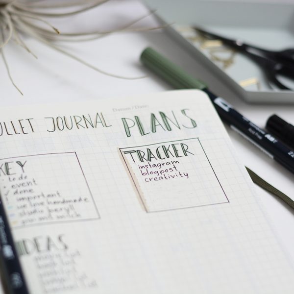 BuJo Planning Page | Pixi mit Milch