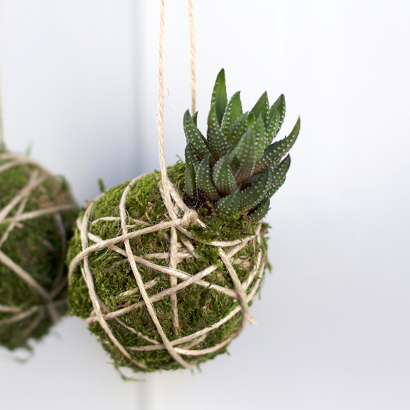 DIY: Kokedama | we love handmade