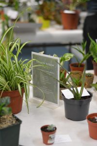 Pflanzentauschbörse Wien PlantFest