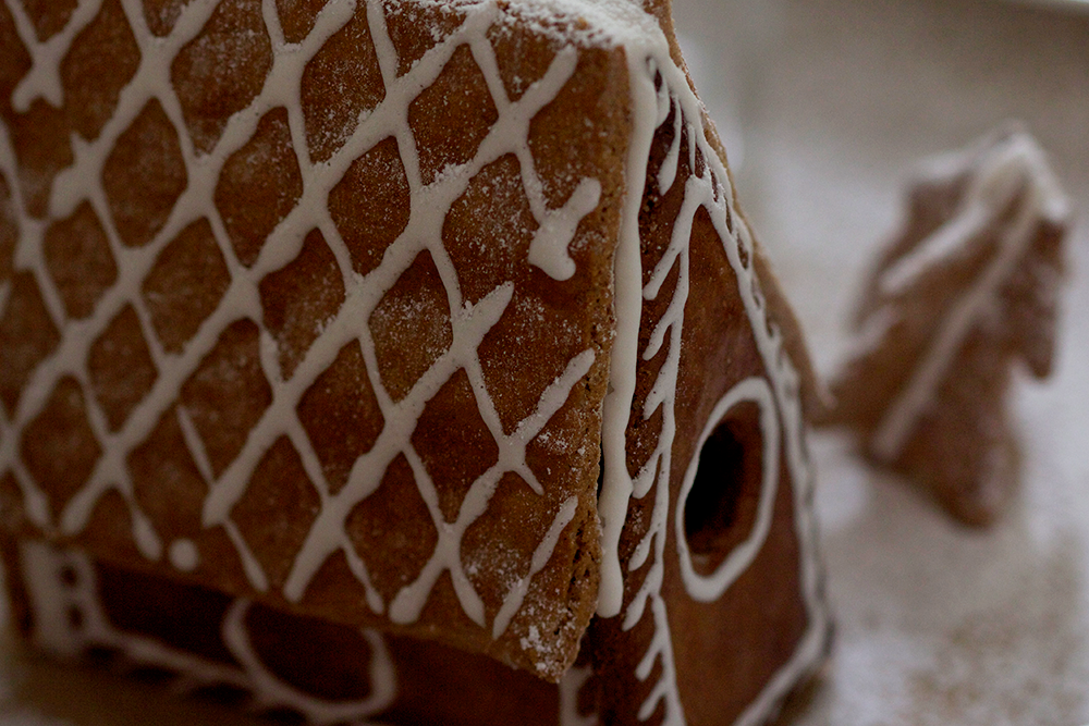 DIY: Lebkuchenhäuser selber machen | we love handmade