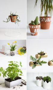 Inspiration: DIYs für Pflanzen | we love handmade