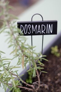 Rosmarin-Lettering: Pflanzenstecker | we love handmade