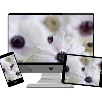 Februar-Wallpaper: Anemonen Blumen | we love handmade