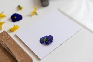 Blumendruck-DIY | we love handmade
