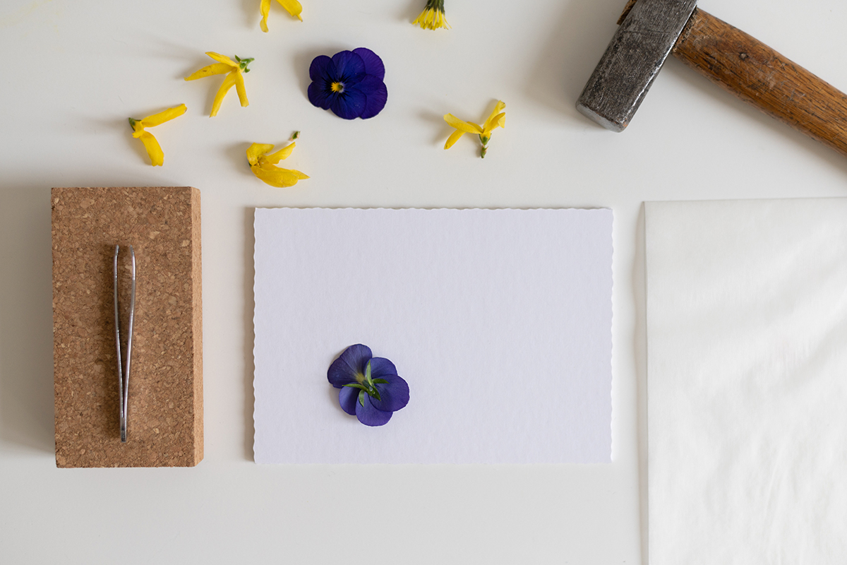 Blumendruck mit Veilchen: DIY | we love handmade