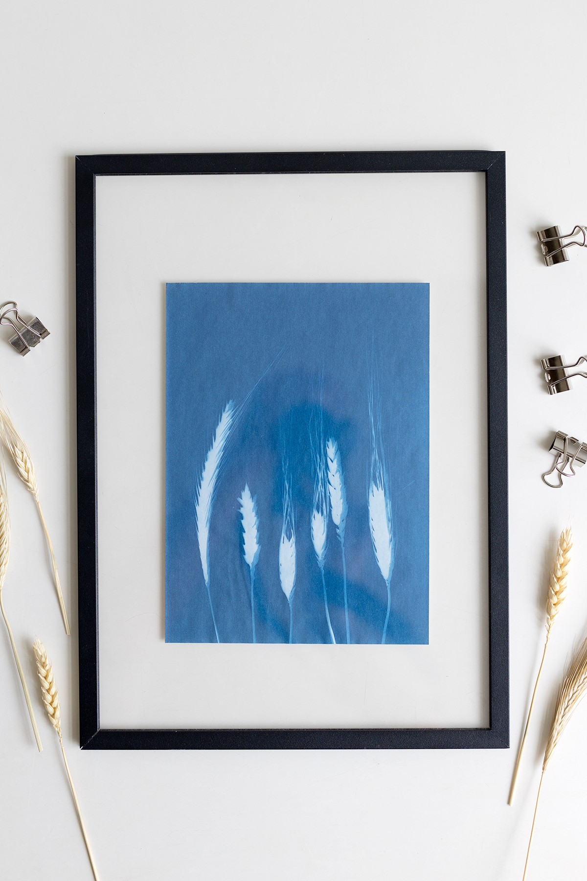 DIY: Bilder mit Cyanotypie Papier selber machen | we love handmade