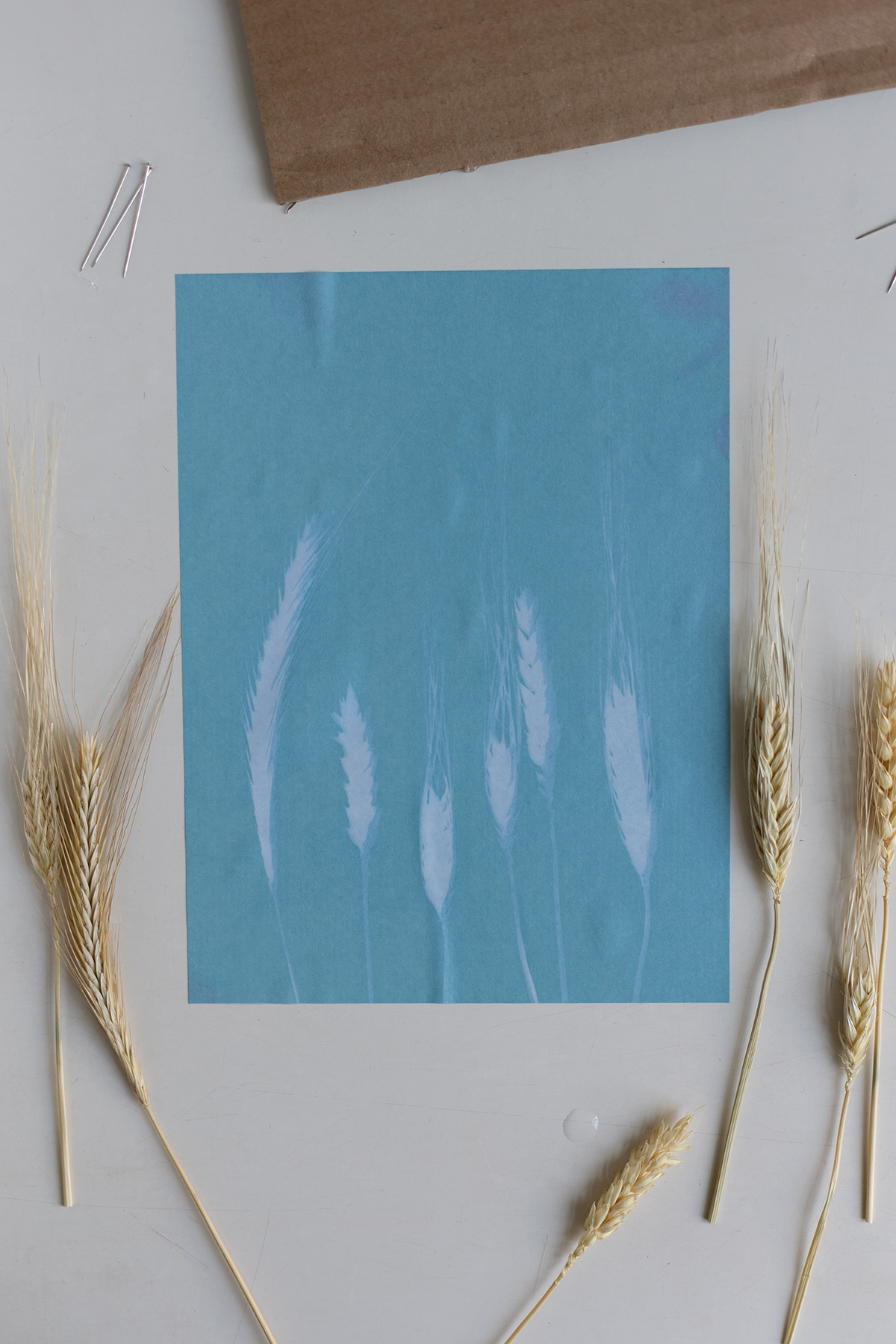 DIY: Bilder mit Cyanotypie Papier selber machen - Papier mit kaltem Wasser abspülen so entwickelt man das Bild | we love handmade