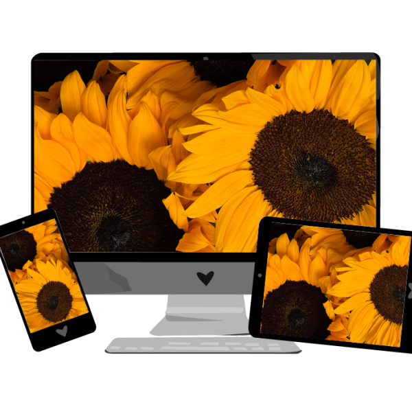 August-Wallpaper 2022: Sonnenblumen | we love handmade