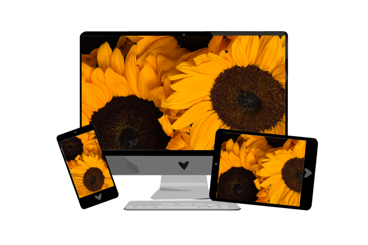 August-Wallpaper 2022: Sonnenblumen | we love handmade