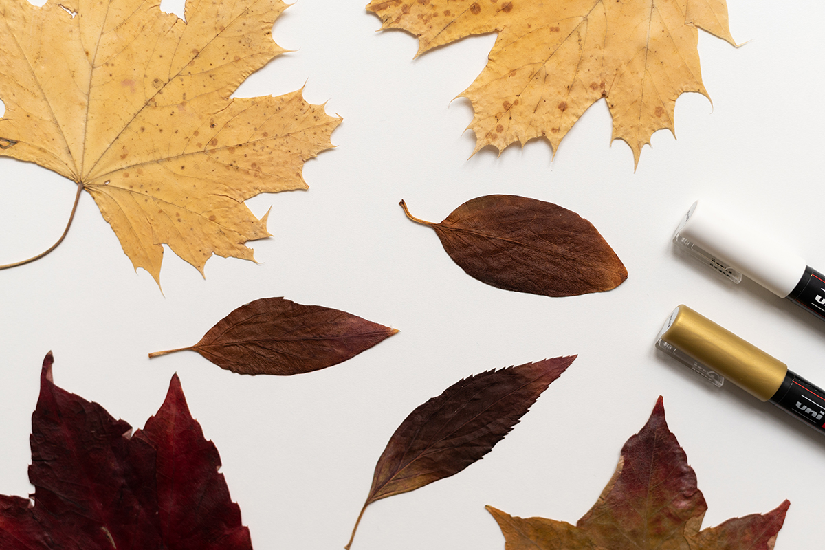 DIY: Herbstblätter beschreiben | we love handmade