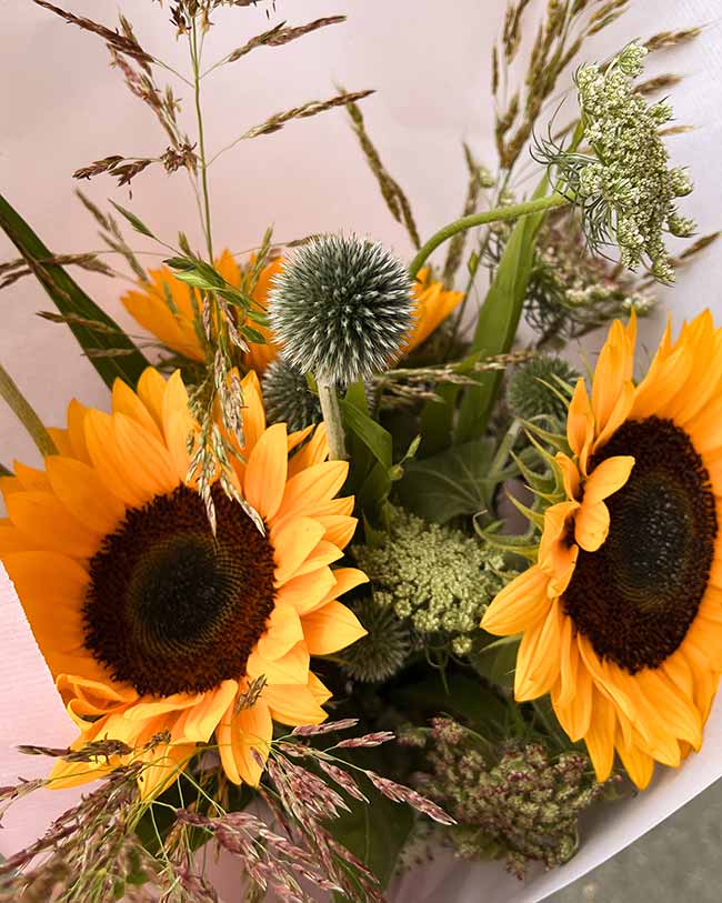 Bunter Sommerstrauß mit großen Sonnenblumen, Kugeldisteln und Gräsern, in rosa Papier gewickelt.